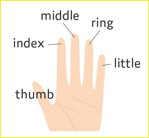 指の英単語