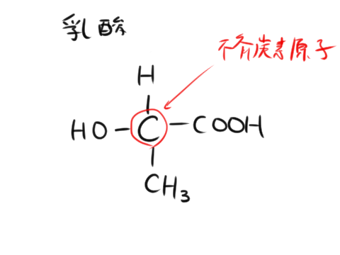カルボン酸リスト9